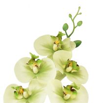 Article Orchidée Artificielle Jaune Vert Phalaenopsis 85cm