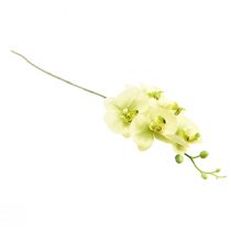 Article Orchidée Artificielle Jaune Vert Phalaenopsis 85cm