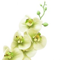 Article Orchidée Artificielle Jaune Vert Phalaenopsis L83cm