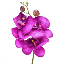 Article Orchidée Phalaenopsis Artificielle 4 fleurs Fuchsia 72cm