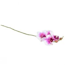 Article Orchidée Phalaenopsis Artificielle 4 Fleurs Blanc Rose 72cm