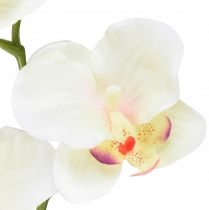 Article Orchidée Phalaenopsis artificielle 6 fleurs rose crème 70cm