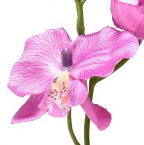 Article Orchidée Phalaenopsis artificielle 6 fleurs violette 70cm