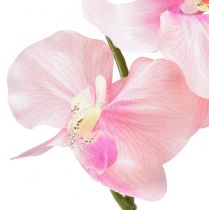 Article Orchidée Phalaenopsis artificielle 6 fleurs rose 70cm