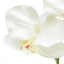 Article Orchidée Phalaenopsis artificielle 6 fleurs blanc crème 70cm