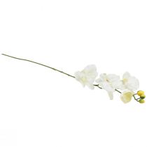 Article Orchidée Phalaenopsis artificielle 6 fleurs blanc crème 70cm