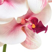 Article Orchidée Phalaenopsis artificielle 9 fleurs blanc fuchsia 96cm