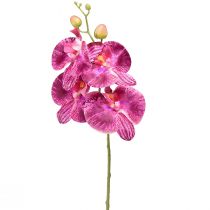 Orchidée flammée artificielle Phalaenopsis violette 72cm