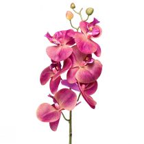 Article Orchidée artificielle Phalaenopsis Orchidée Fuchsia 78cm
