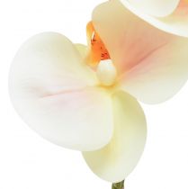 Article Orchidée Artificielle Crème Orange Phalaenopsis 78cm