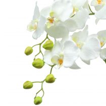 Article Orchidée blanche sur boule de 118cm
