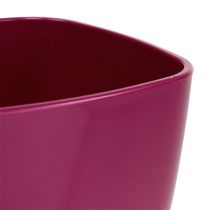 Article Pot à orchidées brillant Ø12,5cm cerise 1 pc
