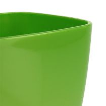Article Pot à orchidées brillant Ø12,5cm citron vert 1 pce