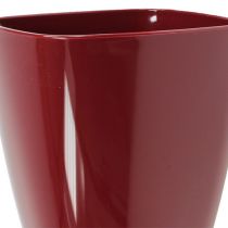 Article Pot à orchidées brillant Ø12,5cm Bordeaux 1 pce