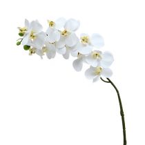 Article Branche d’orchidée blanche L 58 cm