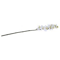 Article Branche d’orchidée blanche L 58 cm