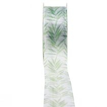 Ruban organza ruban mousseline ruban plantes vertes 40mm 15m