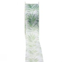 Ruban Organza Champagne 45m X 2cm - Transparent Et Soyeux - Pour Mariage, Emballage Cadeau, Décoration DIY