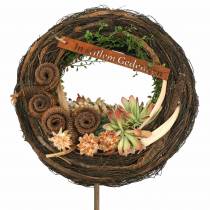 Article Cornes de palmier mâle Déco Nature 7-14cm 25 pièces