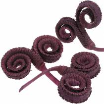Article Décoration sèche palmier mâle vin rouge 25 pcs