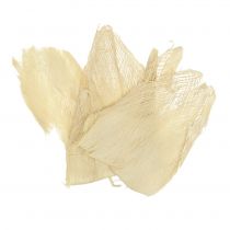 Article Fibre de palme blanchie 250g