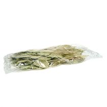 Article Feuilles de palmier Palmspear Vert pomme, blanchi 65 pcs