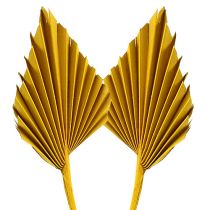 Article Palmspear Jaune 65 pcs