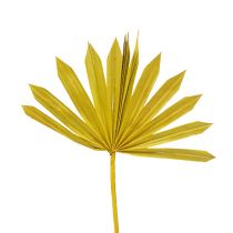 Article Palmspear Soleil mini jaune 50pcs