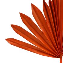 Article Palmspear Soleil mini Orange 50 pcs