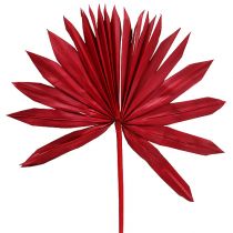 Palmspear Soleil Rouge 30pcs