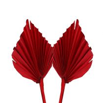 Article Palmspear mini rouge 100 pcs