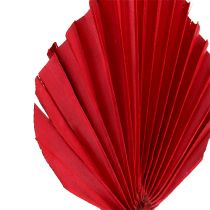 Article Palm lance mini rouge 100p