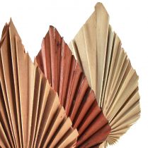 Article Palmspear mini assortis Maroc 30 pcs