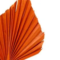 Article Palmspear Orange 65 pièces
