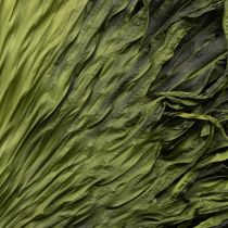 Article Feuilles de palmier séchées décoratives Saribus vert 45cm 5 pcs