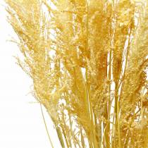 Article Herbe de la pampa jaune Herbe ornementale artificielle Fleuriste sèche 3pcs