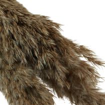 Article Herbe de pampa séchée herbe sèche décorative naturelle 95cm 3 pcs