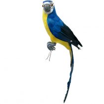 Deco Perroquet Bleu 44cm