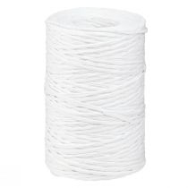 Article Fil de papier fil d&#39;emballage de papier blanc fil 0.4mm 205m