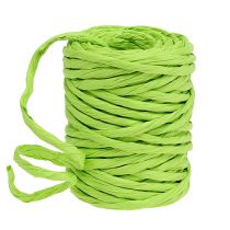 Cordon papier 6mm 23m vert pomme