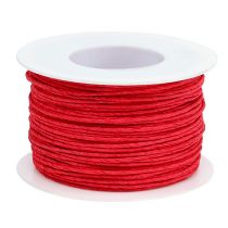 Article Cordon papier fil enroulé Ø2mm 100m rouge