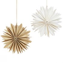 Article Étoiles en papier pour décorations d&#39;arbre suspendues blanc naturel 16cm 6 pcs