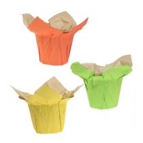 Pots en papier vert, orange, jaune Ø8cm 12pcs