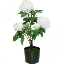 Paeonia artificielle, pivoine en pot, plante décorative fleurs blanches H57cm