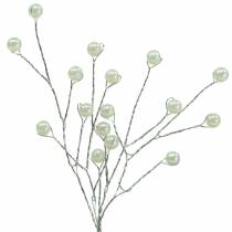 Branche de perles champagne L18cm 2pcs