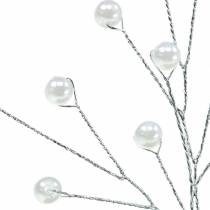 Branche de perles blanc L18cm 2pcs
