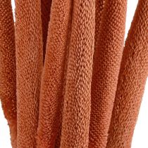Article Roseaux de millet perlé Babala millet orange 70cm 10pcs