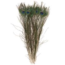 Article Plumes de paon, véritables plumes d'oiseau pour loisirs créatifs et décoration, 55 cm, lot de 10.