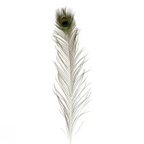 Plumes de paon décoration vraies plumes d&#39;oiseaux longues 70cm 16pcs