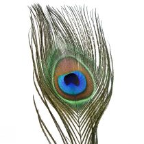 Article Plumes de paon décoration vraies plumes d&#39;oiseaux longues 70cm 16pcs